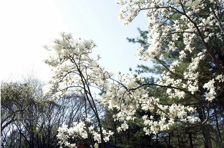 고척근린공원 전경 5